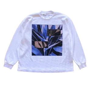 Framed Strelitzia v2 Thermal